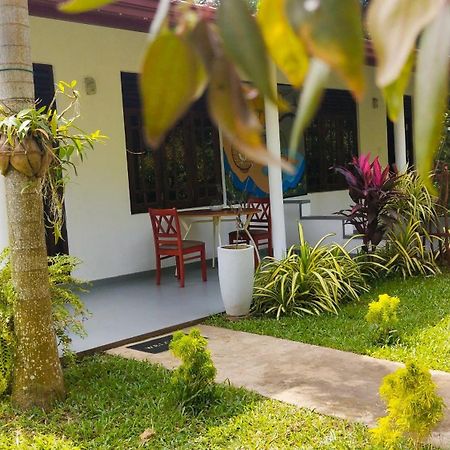 مبيت وإفطار تانجالي Eco Nest Marakolliya المظهر الخارجي الصورة