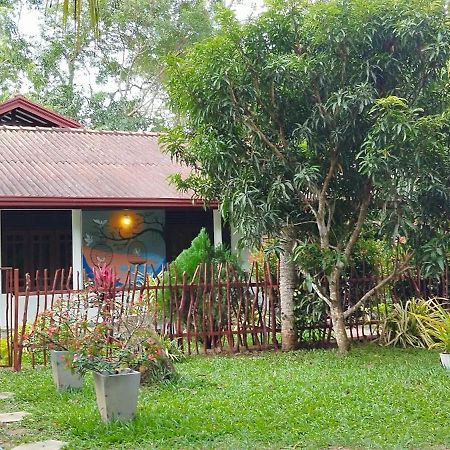 مبيت وإفطار تانجالي Eco Nest Marakolliya المظهر الخارجي الصورة