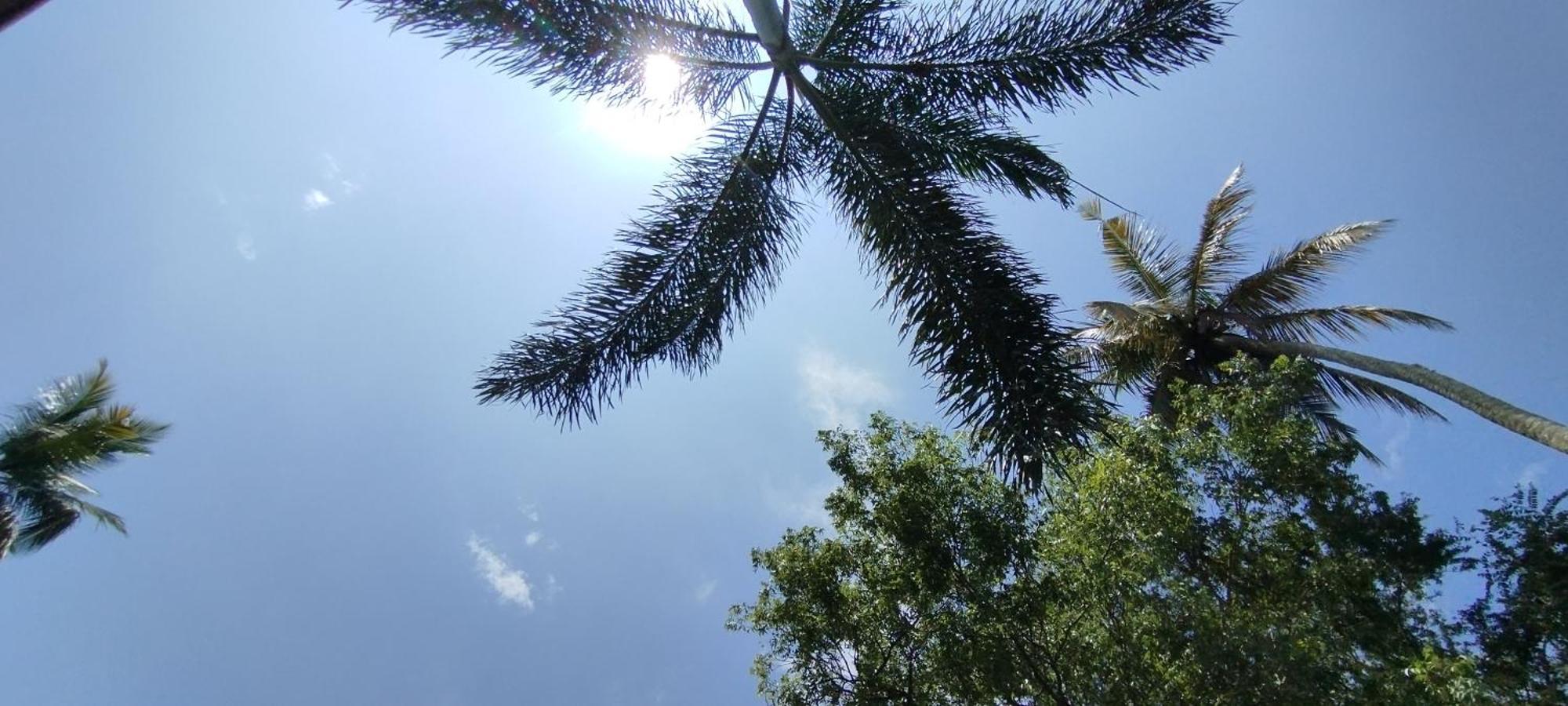 مبيت وإفطار تانجالي Eco Nest Marakolliya المظهر الخارجي الصورة