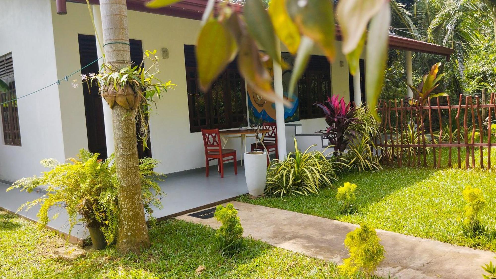 مبيت وإفطار تانجالي Eco Nest Marakolliya المظهر الخارجي الصورة